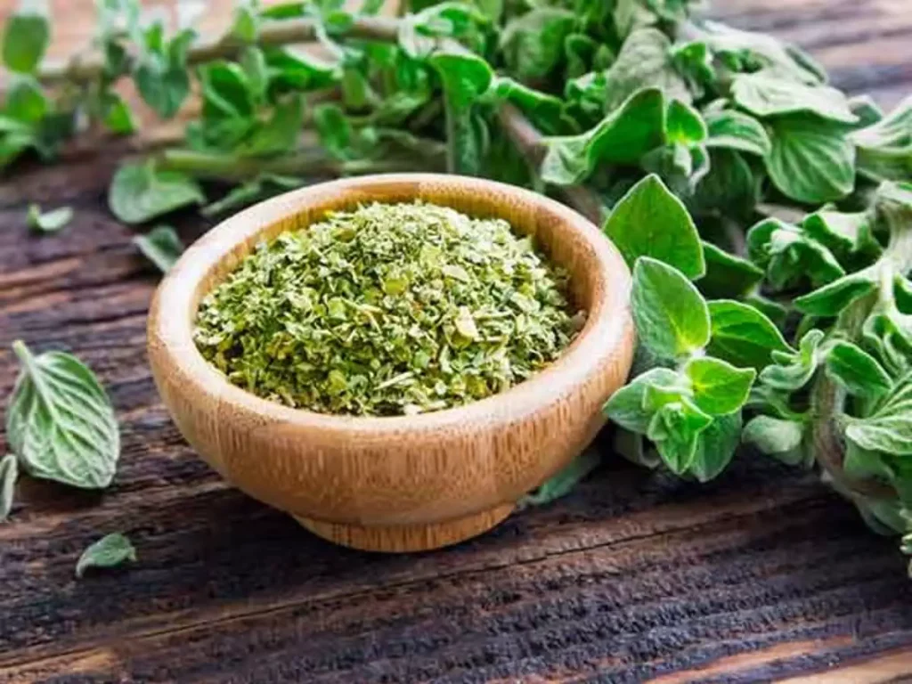 Oregano-Herbs-and-Spices